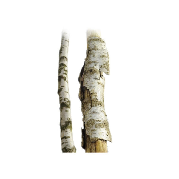 Xilitolo di betulla - edulcorante - 250 g - immagine 2