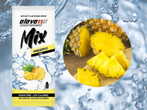 Eleve11fit MIX gusto ANANAS SENZA ZUCCHERO