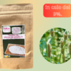 Fibra di psillio in polvere 100g